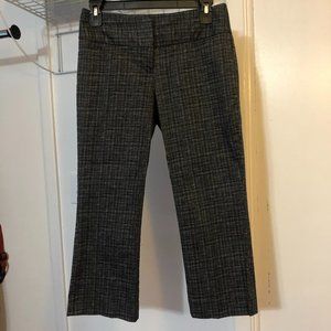 00 Express Design Studio Editor Crop Pant
